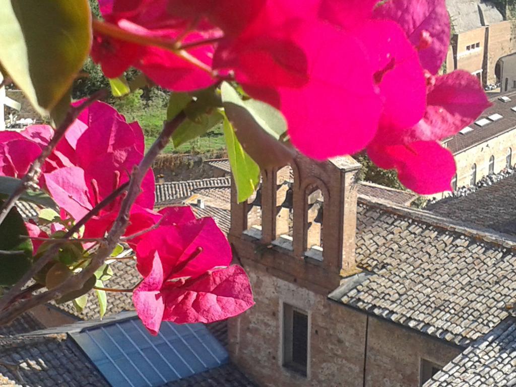 Residenza D'Epoca Campo Regio Relais Bed & Breakfast Siena Bagian luar foto